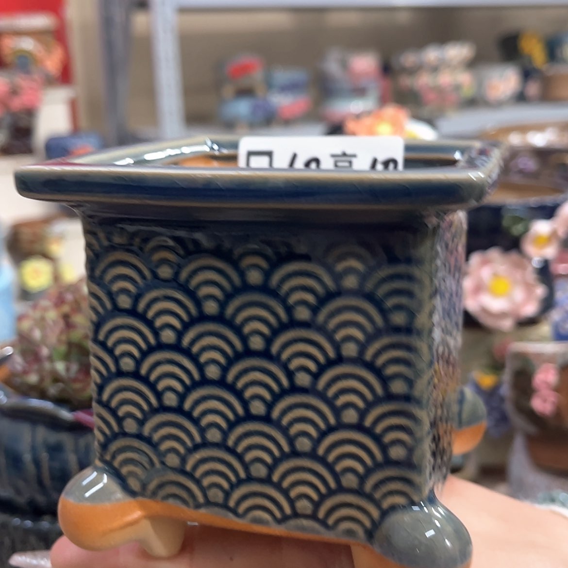 【闪购商品】红陶福利