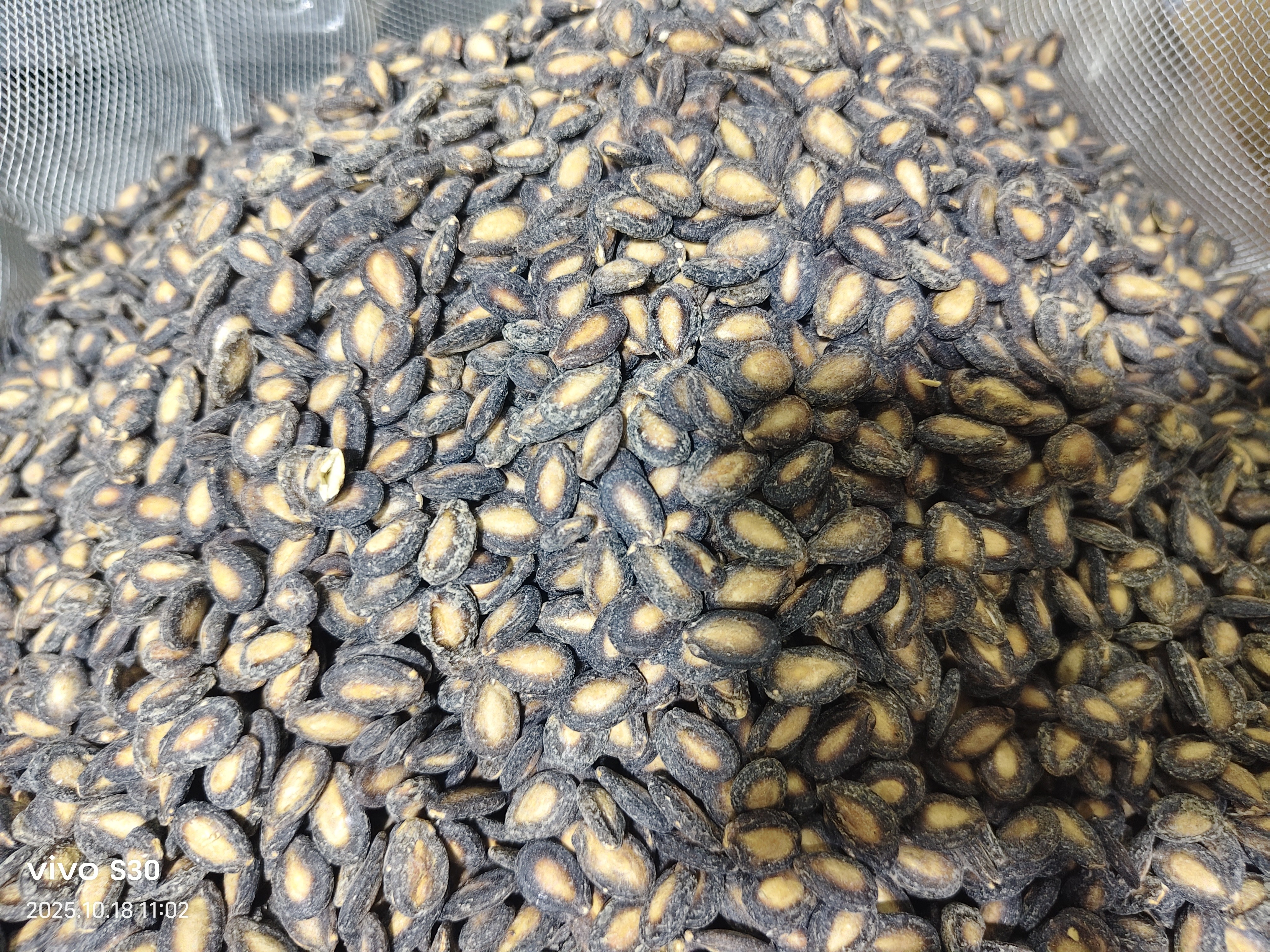 咸味椒盐中大粒西瓜子粒大饱满休闲零食小吃炒货