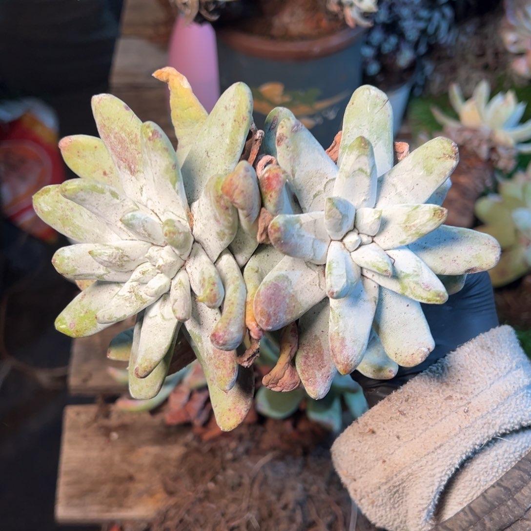 8475哈哈哈哈哈哈哈哈