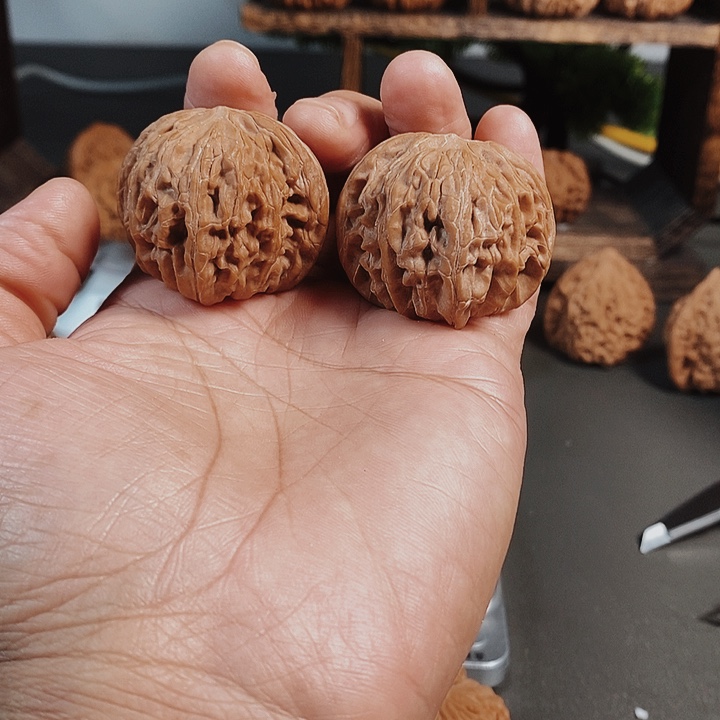 39尺磨盘红皮果骨质好