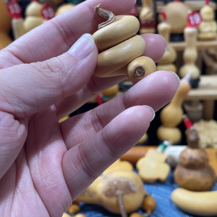 启***航108美好的时光总是短暂而短暂