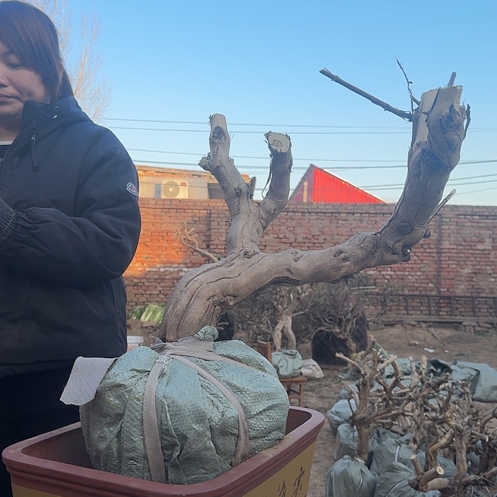 完全开放11111111