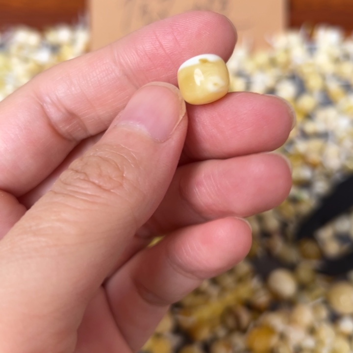 蜜蜡未镶嵌裸石10.2mm一个