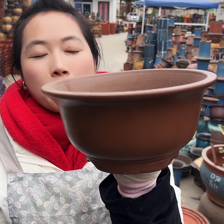 21茶林小碗花盆花盆