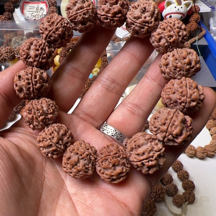 金刚菩提手串20➕安娜蜂窝梅花双龙