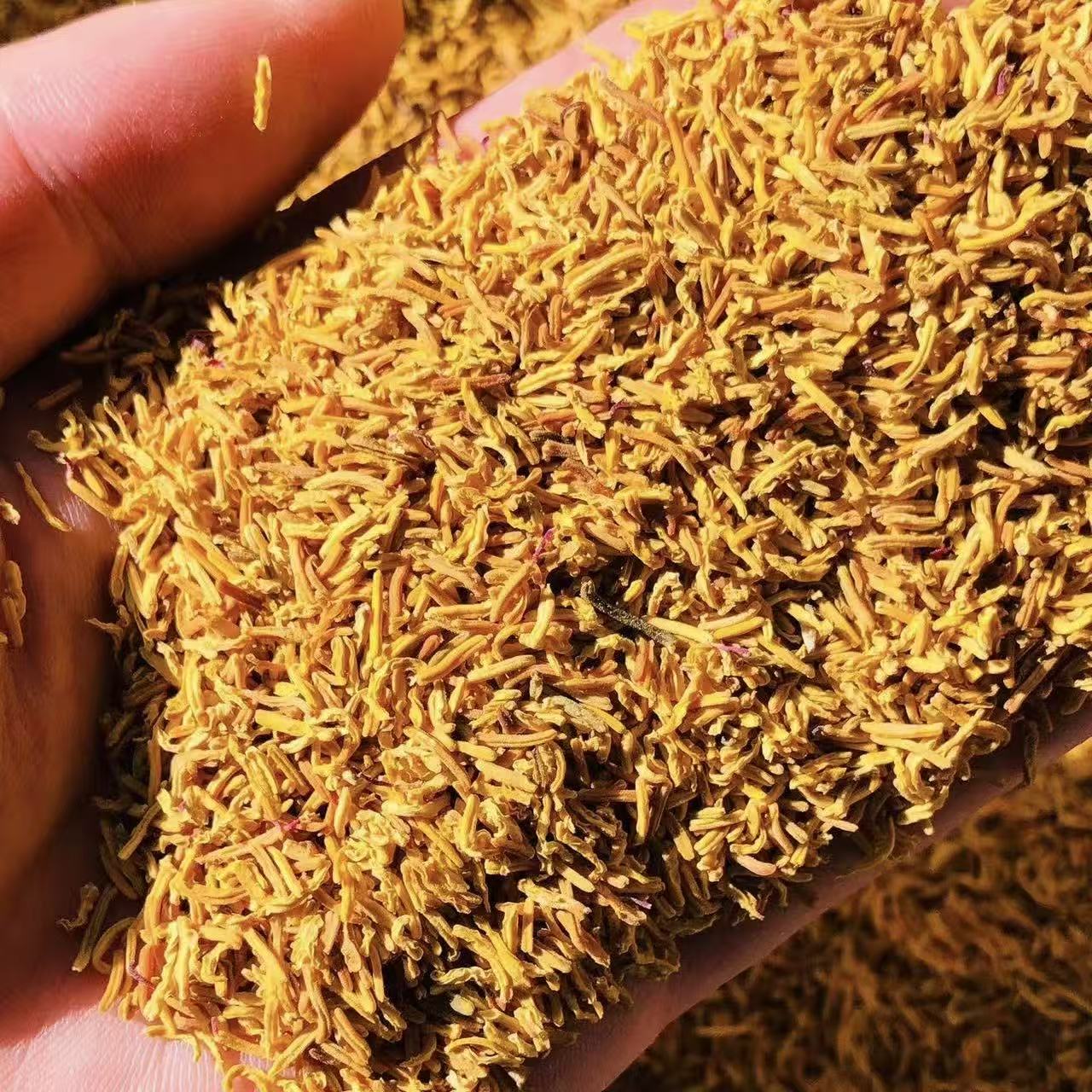 【木南精选】高山野采黄金蕊当季采摘下山高品质 高原山货  非枸杞