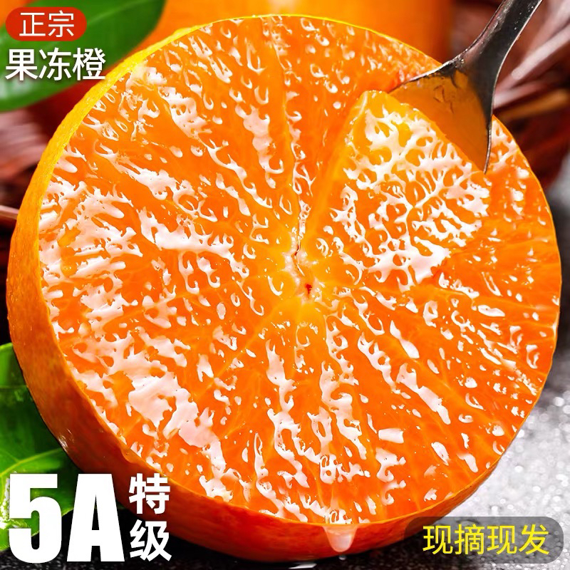 四川爱媛38号果冻橙精品套袋果