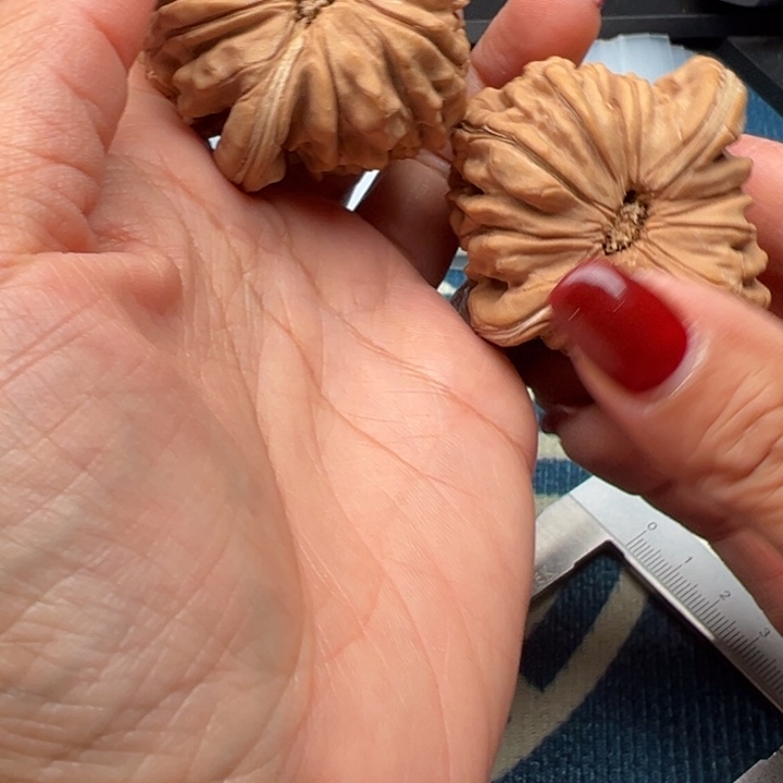 吊坠桃核文玩华坤龙