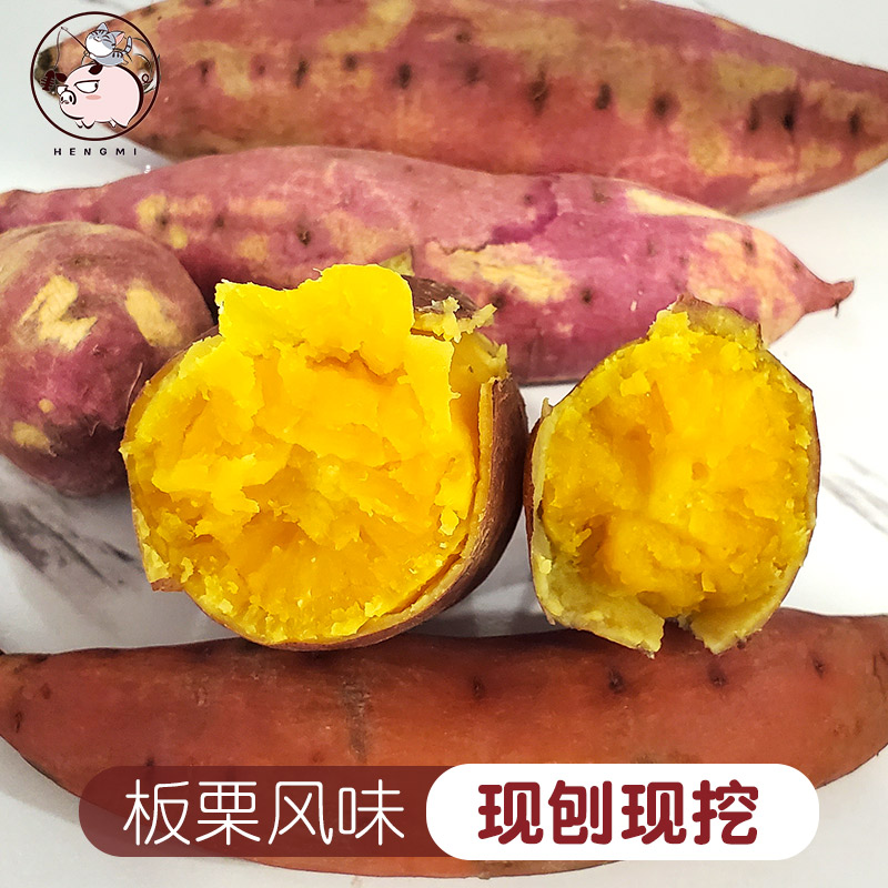 精品新鲜现挖沙地黄心板栗薯软粉面香甜正宗甜红薯5斤装沙土烟薯