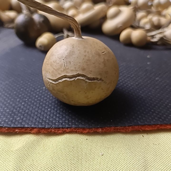 世*花叶天裂苹果葫芦