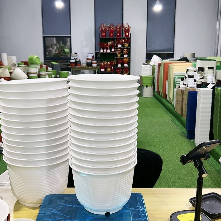 正品矮陶口21高15白色8只带托