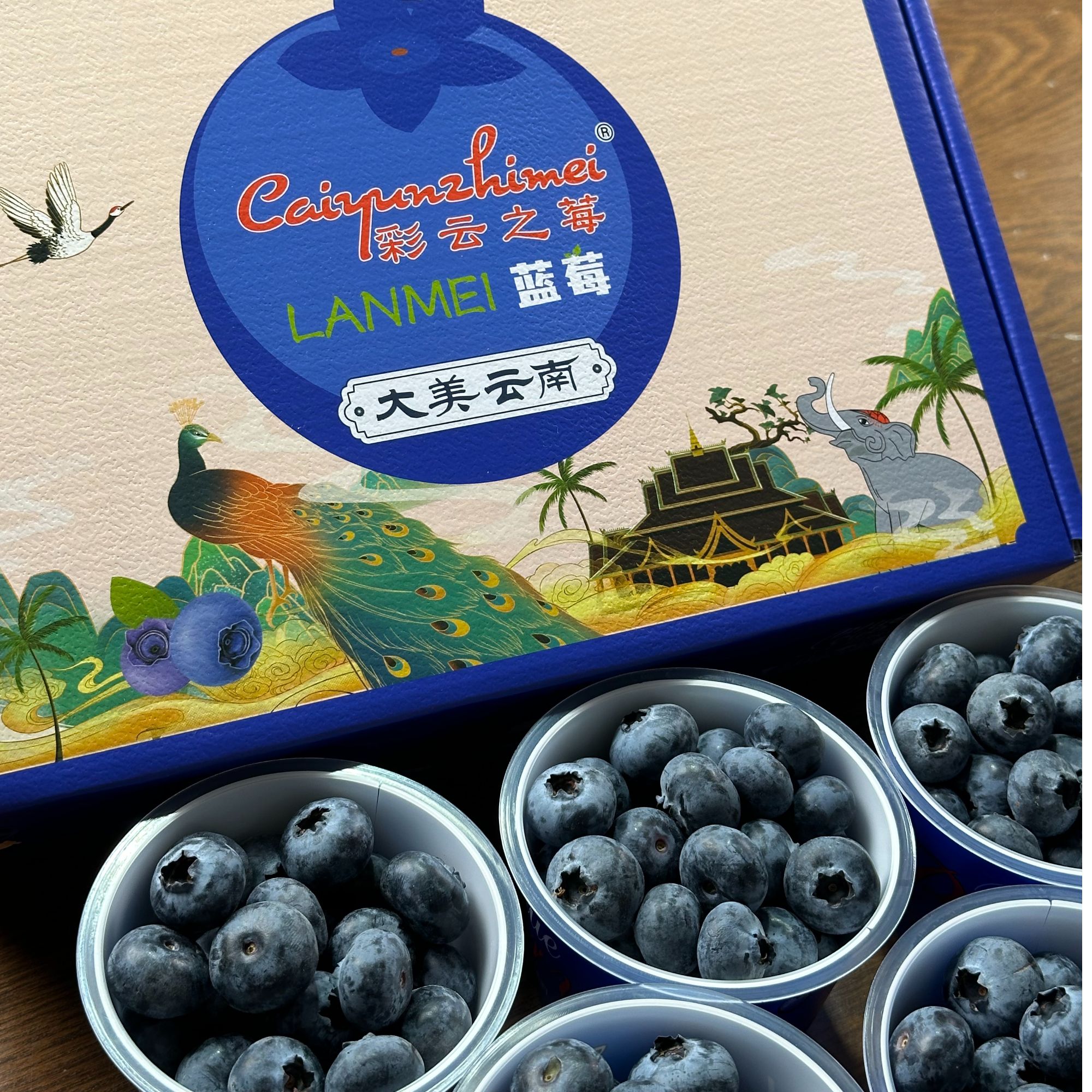 【D25纯甜5杯礼盒装】 云南露天花香蓝莓500g脆甜花香浓郁新鲜采摘