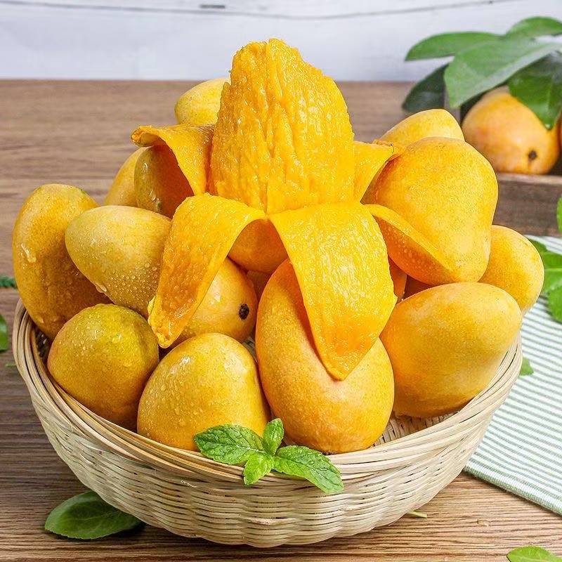 【全黄发软食用】云南保山台农芒果新鲜采摘产地直发