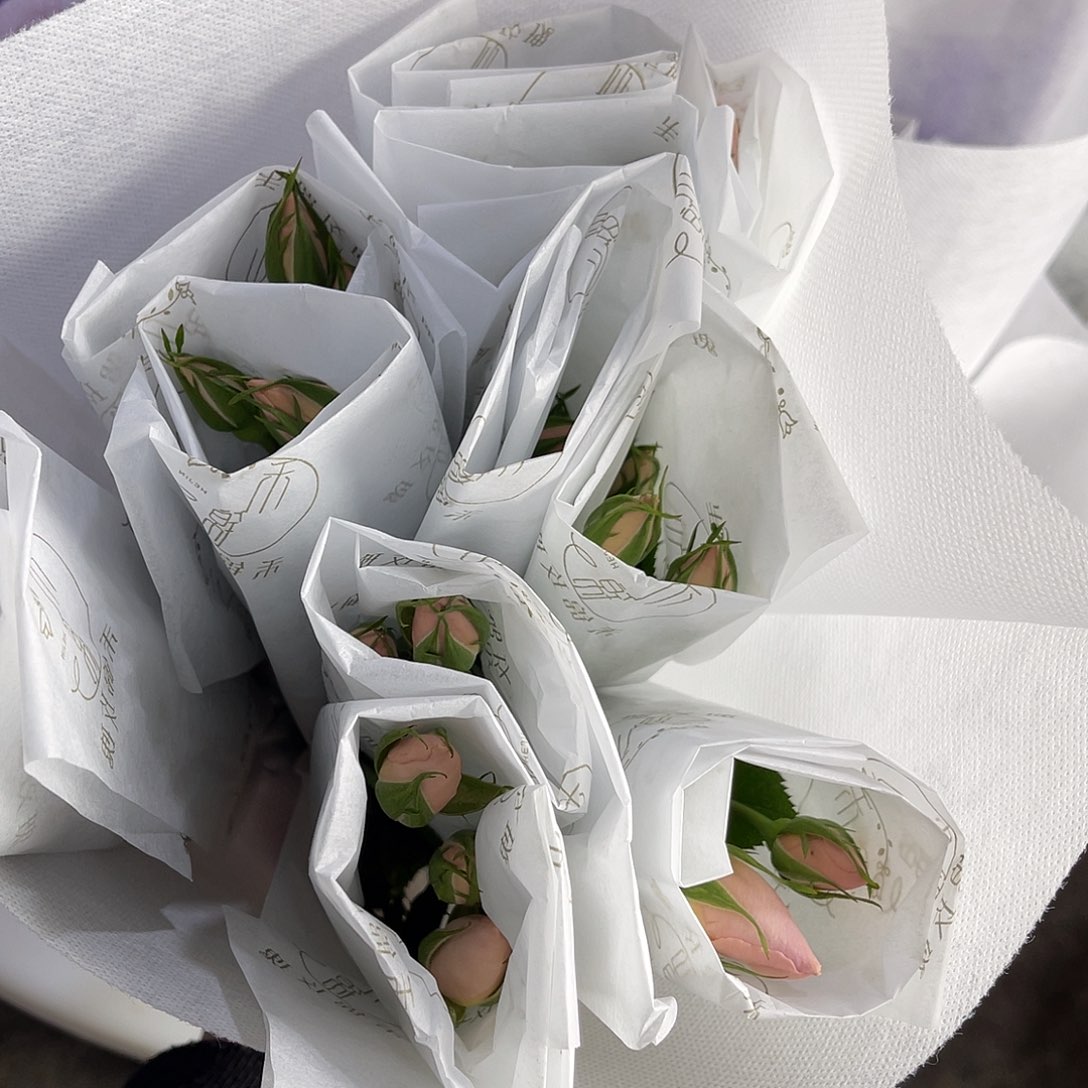 完全开放禾锦（杰奎琳）一扎