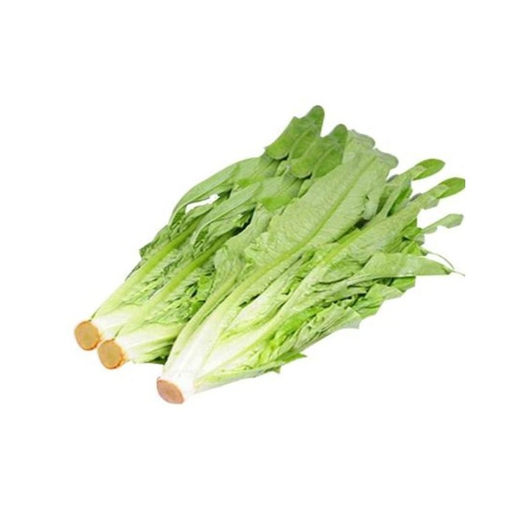 【美一天新鲜】油麦菜 约500g±50g/捆油麦菜