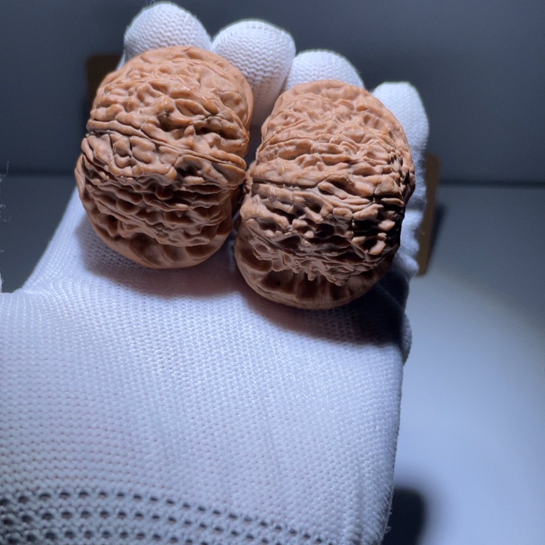 文玩核桃吊坠20号45毕业白狮子全品龙眼