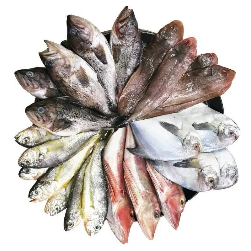 现称现卖，直播链接（安达海鲜）