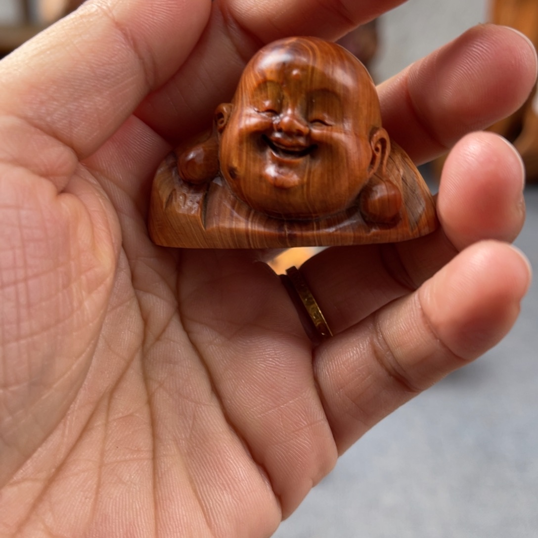 柏木（崖柏）崖柏太行山脉