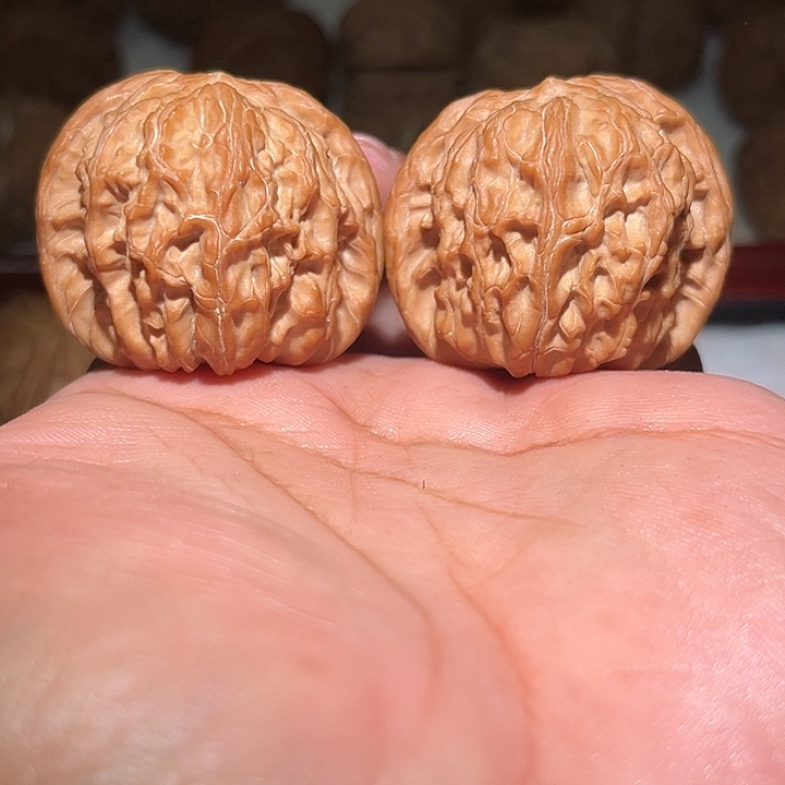 木42全品山地磨盘。  