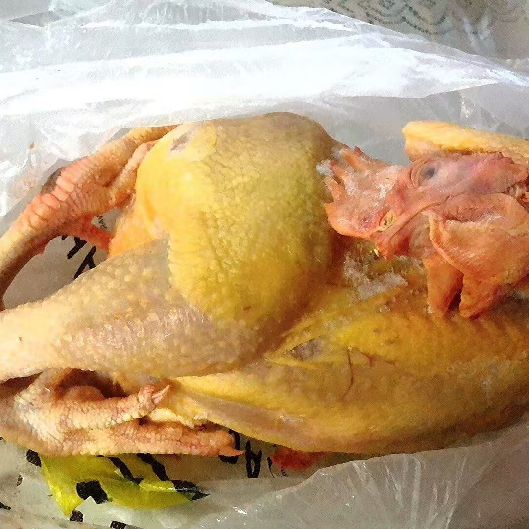 正宗东北农家散养溜达鸡新鲜现杀《鸡发出不退货退款快递不做拦截》