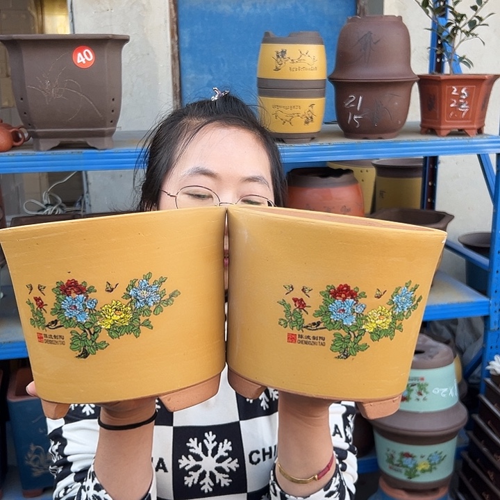黄色花开富贵中一对花盆花盆