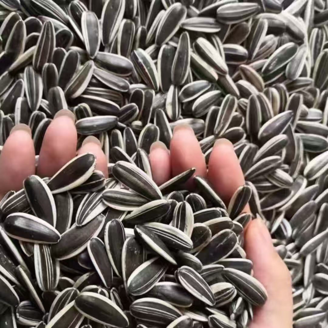 【买一斤送一斤】原味熟葵花籽花皮大瓜子手剥瓜子