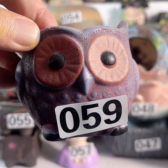 红陶多肉植物花盆