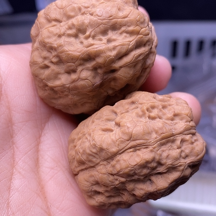 文玩核桃吊坠   159