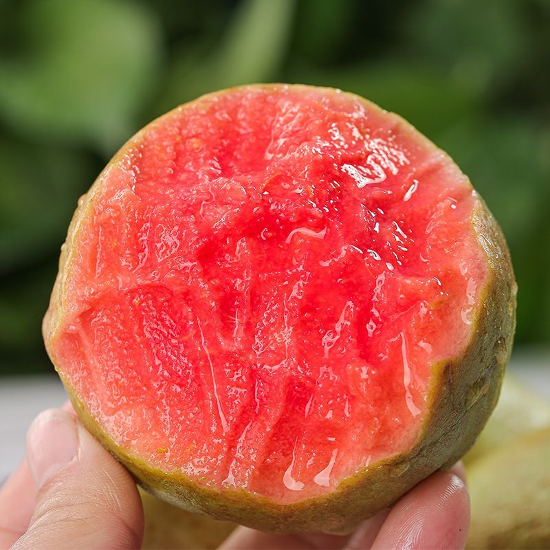 广西番石榴新鲜应季低糖高VC水果