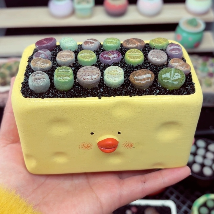 611零下地区记得拍保温箱