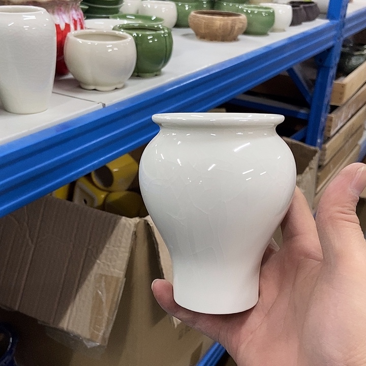 花盆单场满9.9发货7.5×11