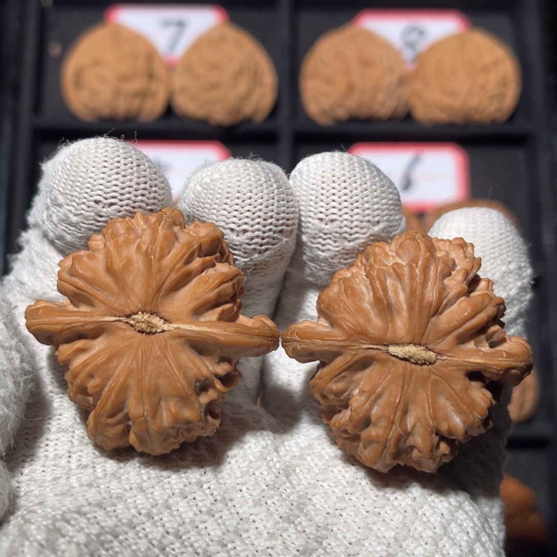 檐***雨吊坠文玩核桃02秦皇岛山地果全品