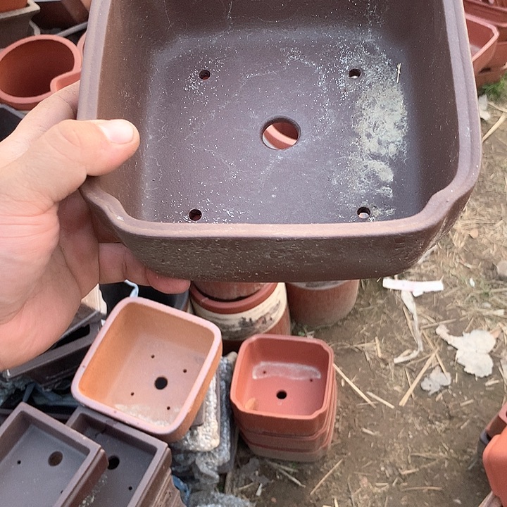 紫砂哈哈真的是太给力太火爆了