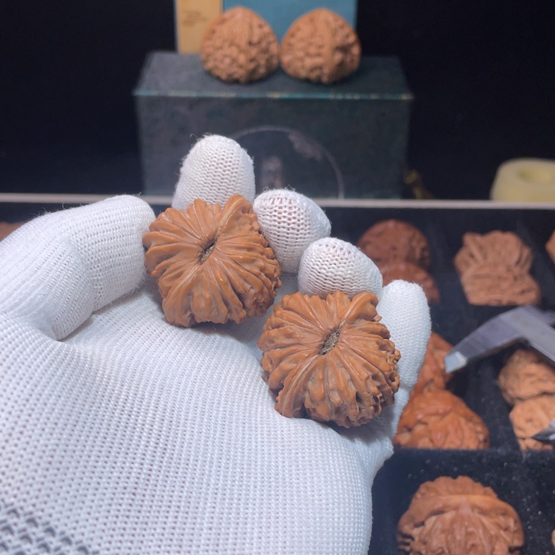 核桃37四座楼狮子头