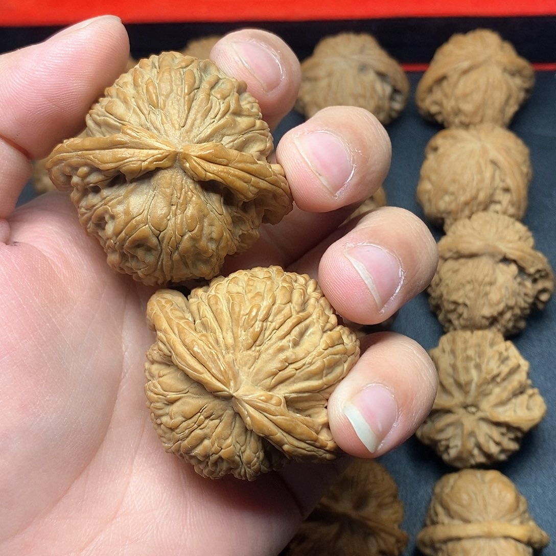 文玩核桃把件和***安47白狮子