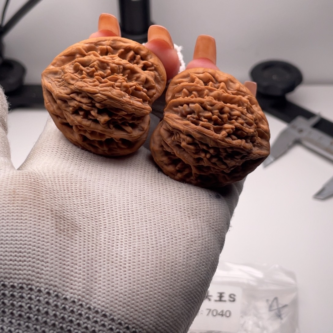 核桃7040粗筋虎头王