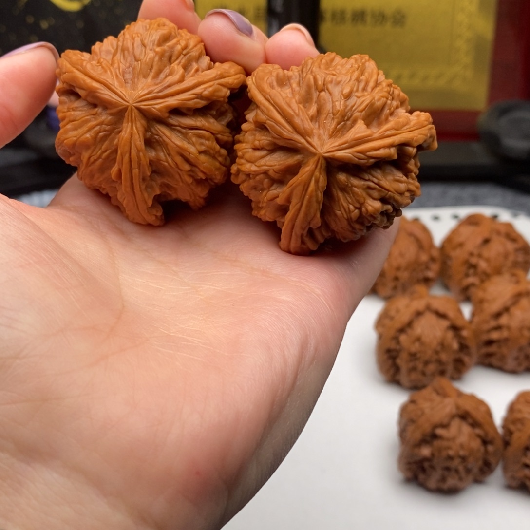 ￴****￴白狮子11111111