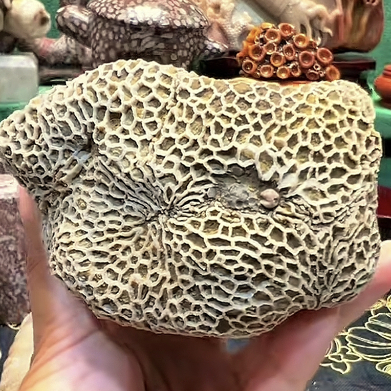 山里的石头 居家摆件 直播间截图为准一物一拍