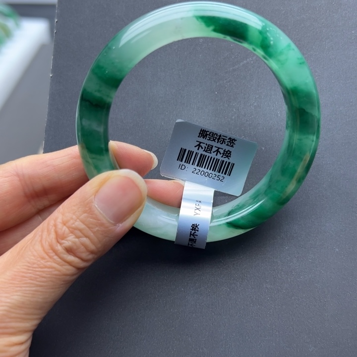 石英质玉未镶嵌手镯燕子➕56.9