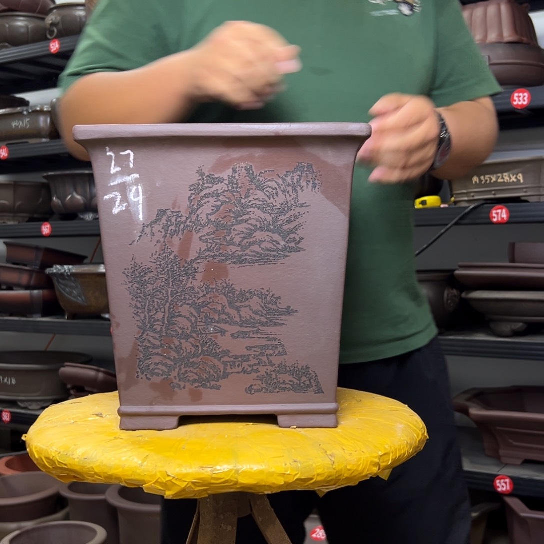 紫砂花盆呜呜呜呜呜我