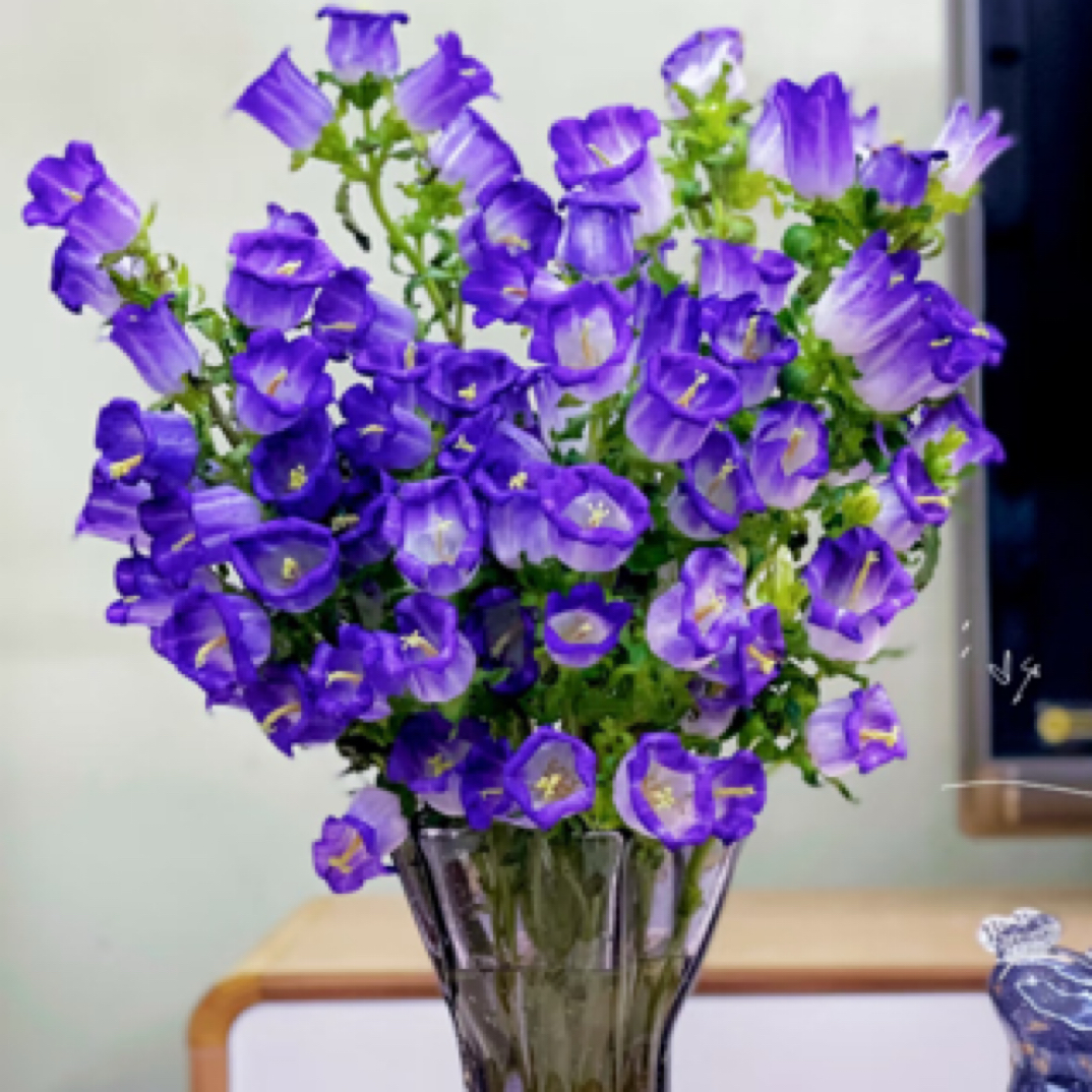 【风铃花】夏日鲜切花/大把头/超长待机/可发新疆西藏北方偏远地区