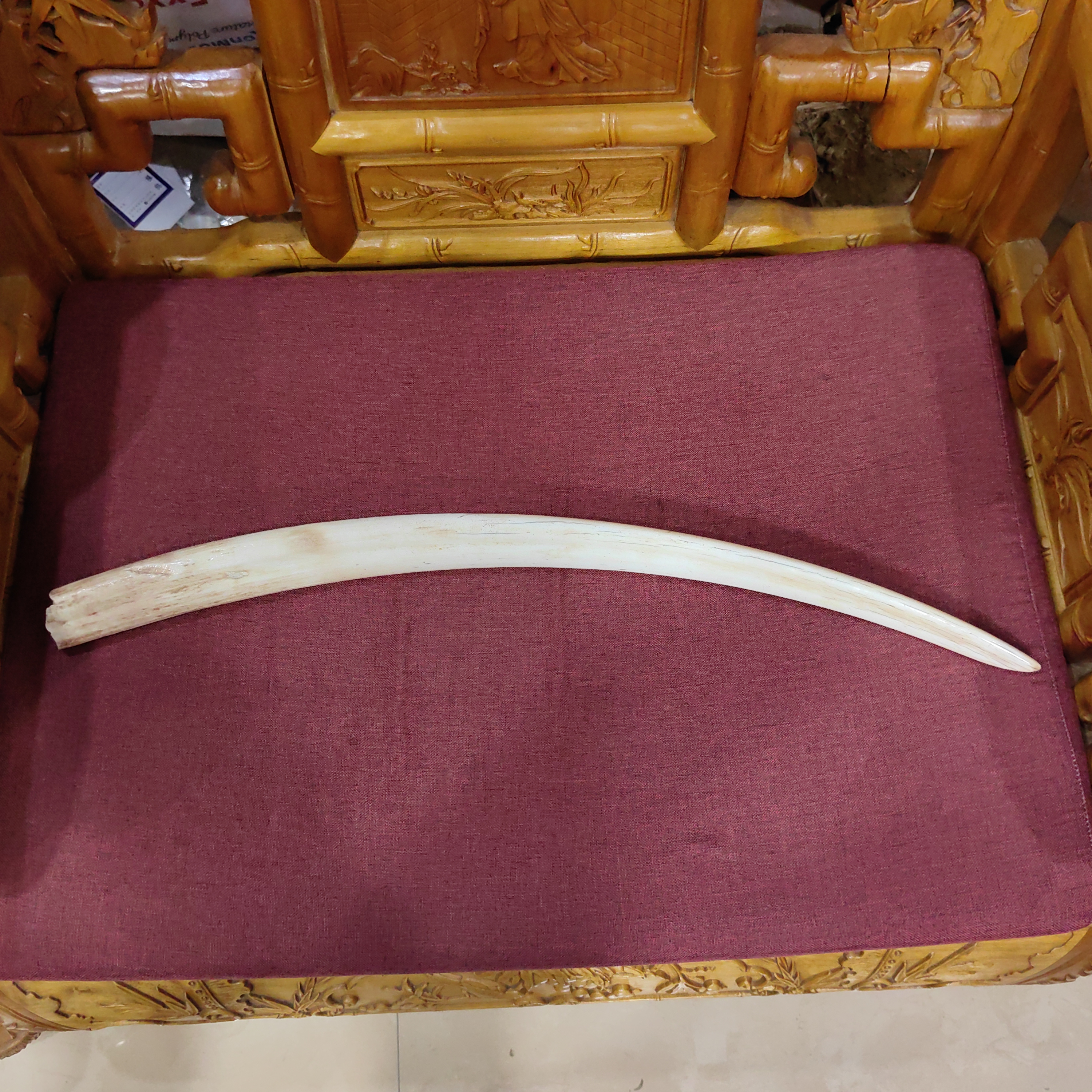 猛犸秋约1100克摆件TD942