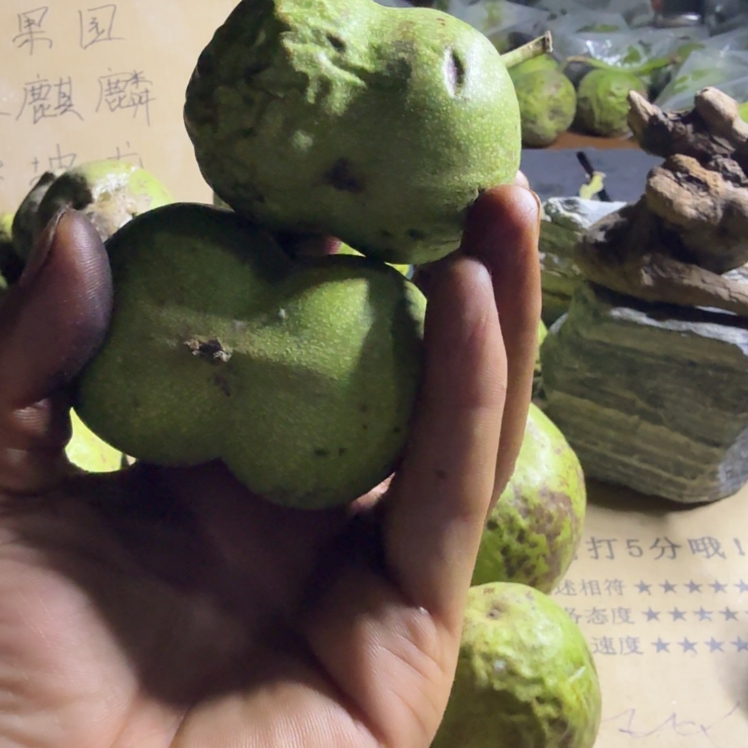 吊坠文玩核桃史***7白狮子半壁