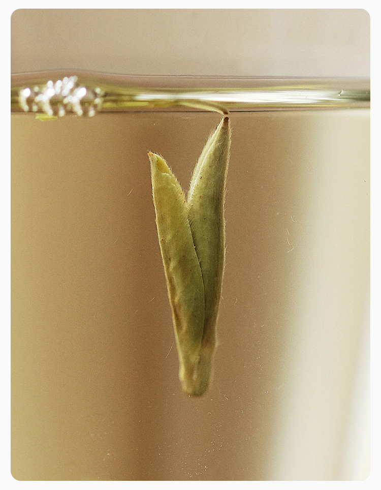 【替代链接】2025年磻溪青龙寺特级白毫银针500克铝罐装