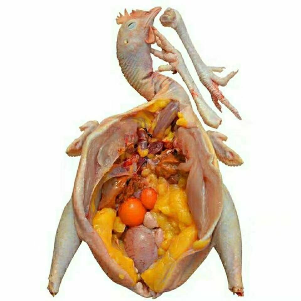 东北散养芦花鸡老母鸡  带心肝珍蛋黄