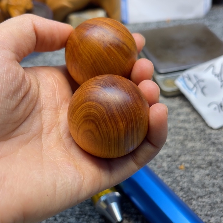 柏木（崖柏）崖柏28