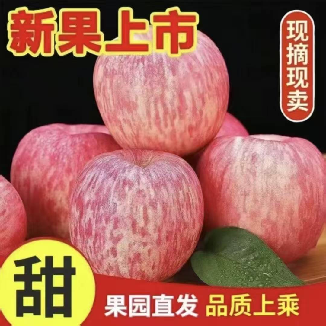正宗红富士脆甜苹果今年新果当季新鲜水果优质苹果苹果整箱批发