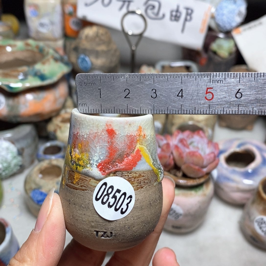 花盆拍5送一个小礼物