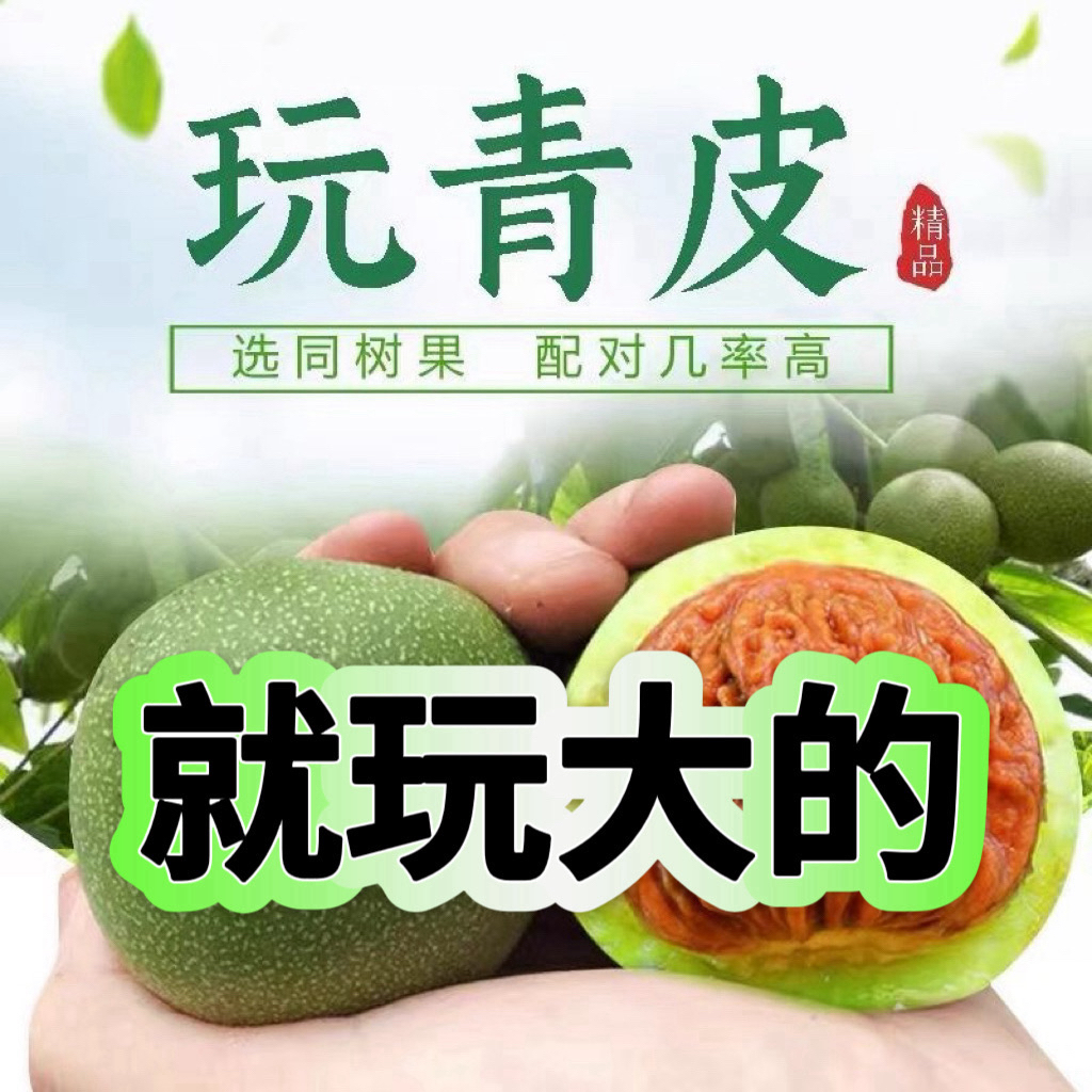官帽青皮—文玩核桃—同树果配对更高