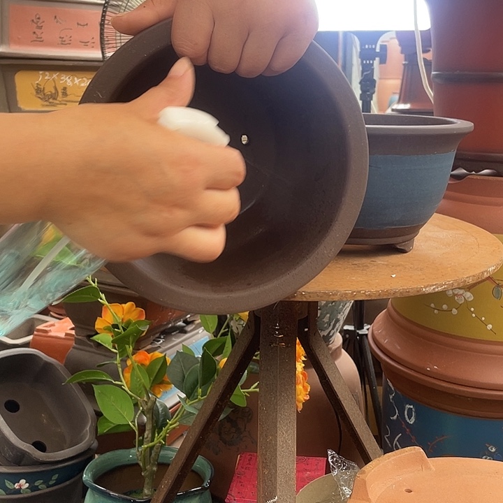 21+21蓝色三角金钟花盆紫砂花盆